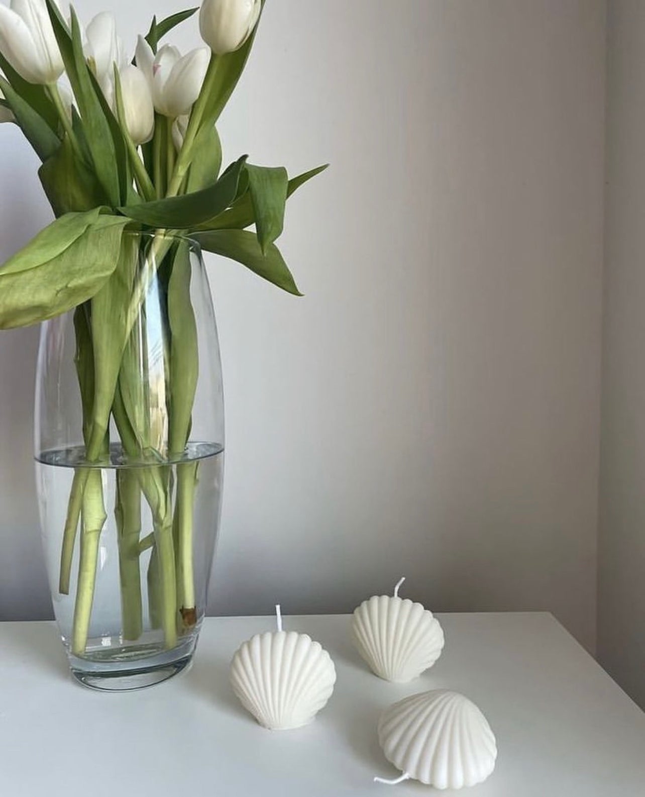 Shell Candle