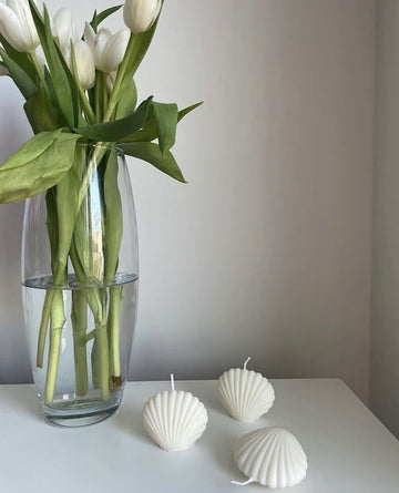 Shell Candle